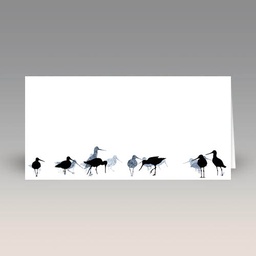 Card: 'Godwits' by Sandra Vick
