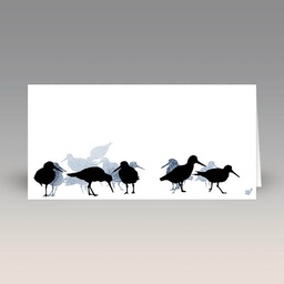 Card: 'Oystercatchers' by Sandra Vick