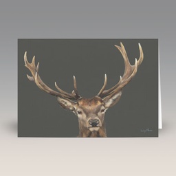 Card: 'Red Deer Stag' by Lesley McLaren