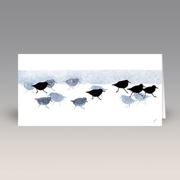 Card: 'Sanderlings' by Sandra Vick