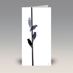 Card: 'Woodpecker' by Sandra Vick